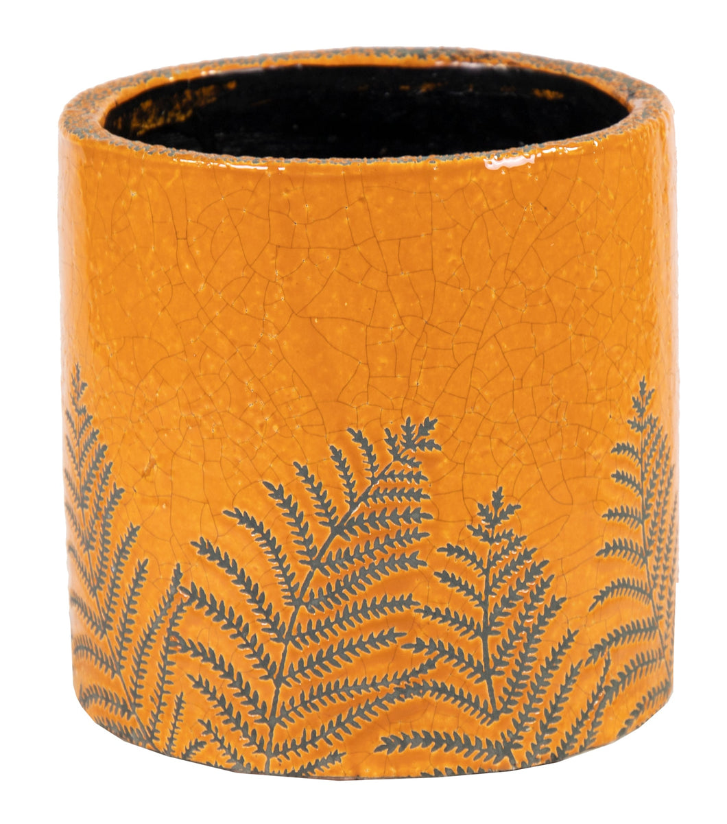 Pot Shine Fern Cylinder Honey