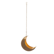 Afbeelding in Gallery-weergave laden, Celestial Moon Hanging Planter
