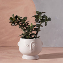 Afbeelding in Gallery-weergave laden, Pot Mini-Face Grijs
